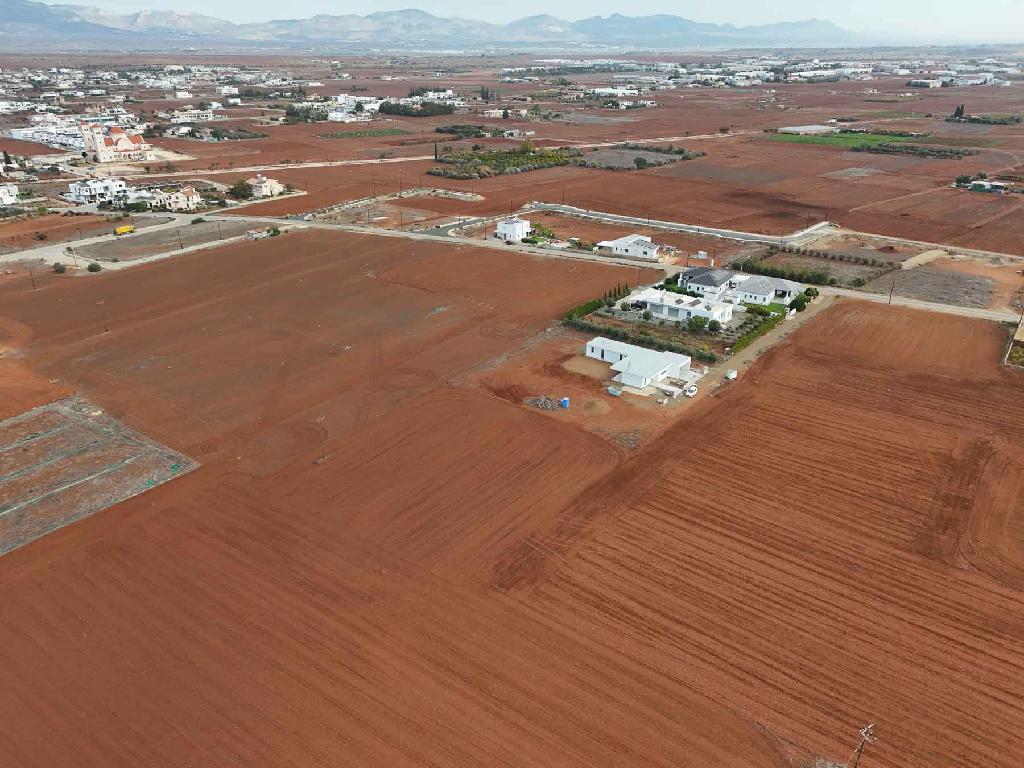 Field-Kokkinotrimithia-PR44622