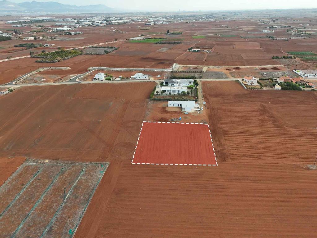 Field - Kokkinotrimithia, Nicosia