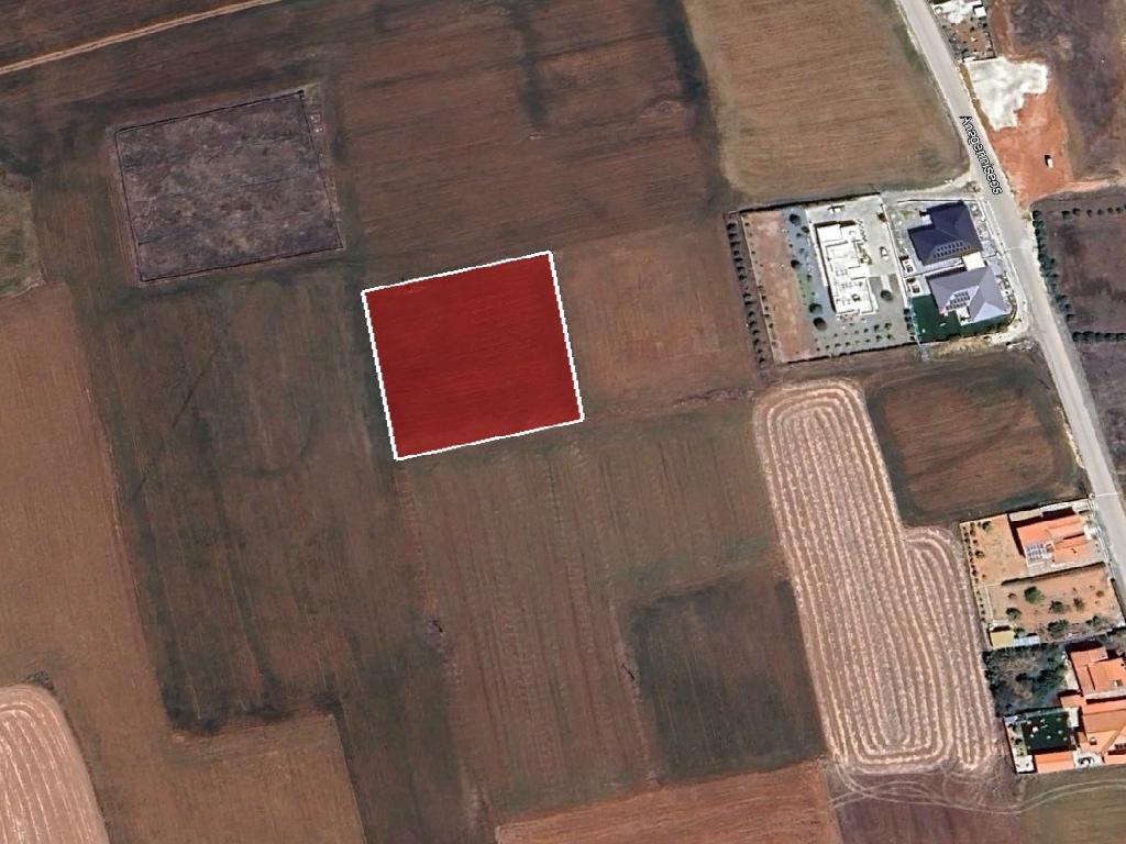 Field-Kokkinotrimithia-PR44622