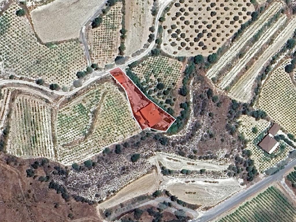 &Kappa;&alpha;&tau;&omicron;&iota;&kappa;ί&alpha; - &Gamma;&alpha;&lambda;&alpha;&tau;&alpha;&rho;&iota;ά, &Pi;ά&phi;&omicron;&sigmaf;