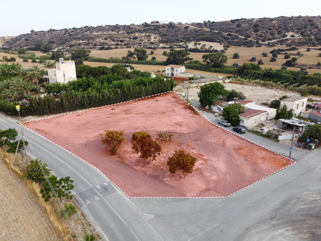 Field - Alaminos, Larnaca