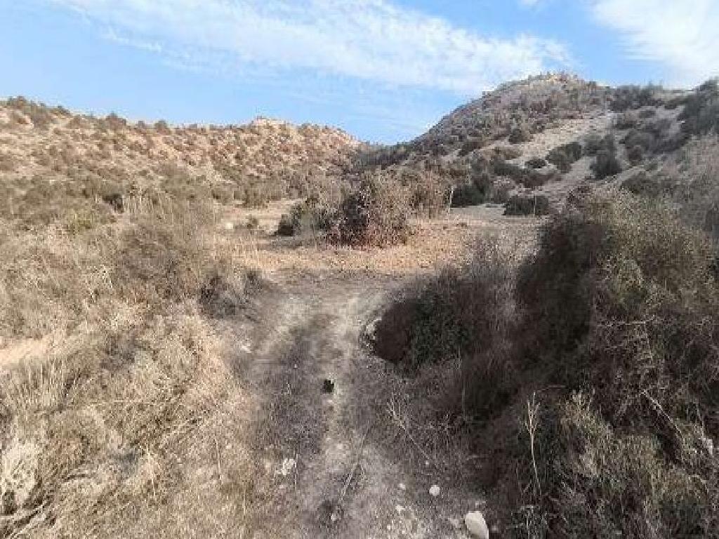 Field-Psematismenos-PR14541