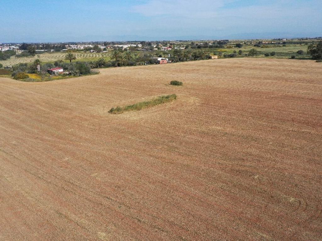 Field-Avgorou-PR13908