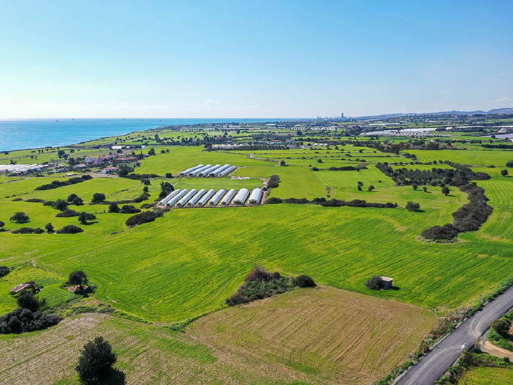 Field - Maroni, Larnaca