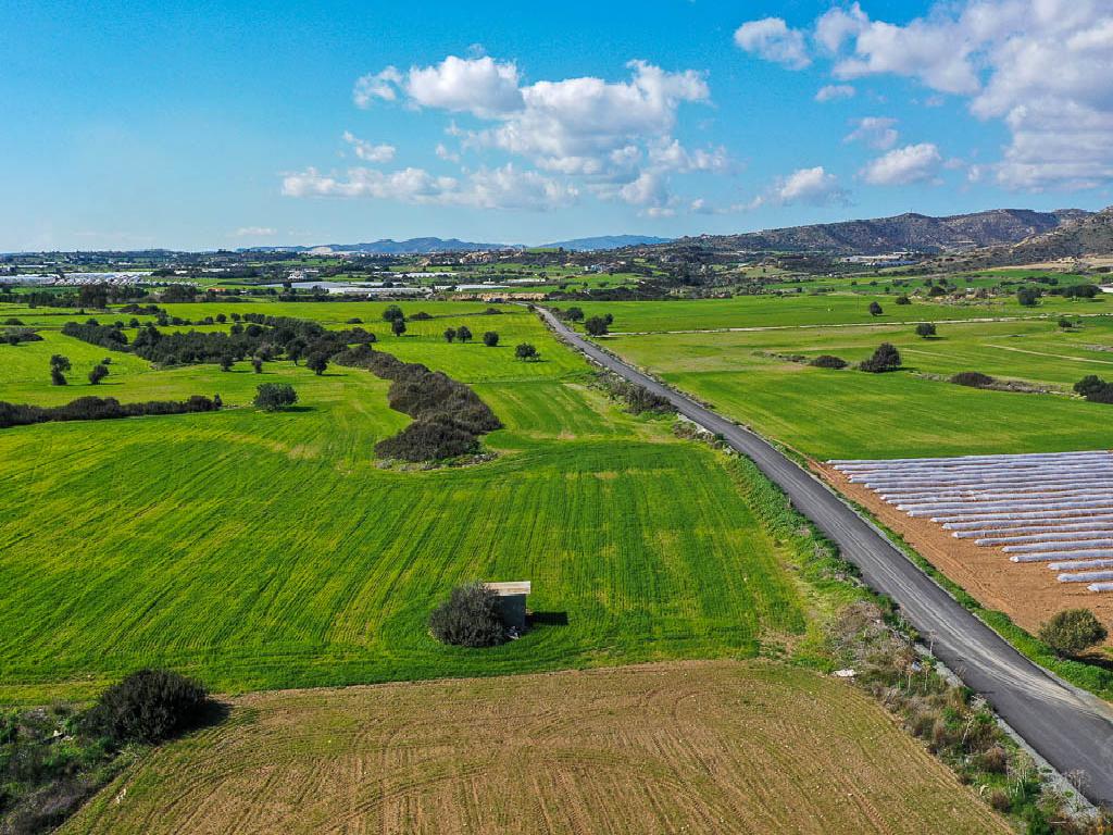 Field - Maroni, Larnaca