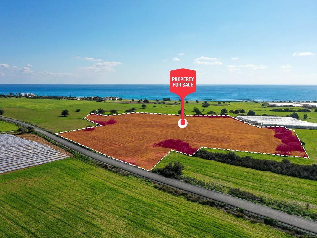 Field - Maroni, Larnaca