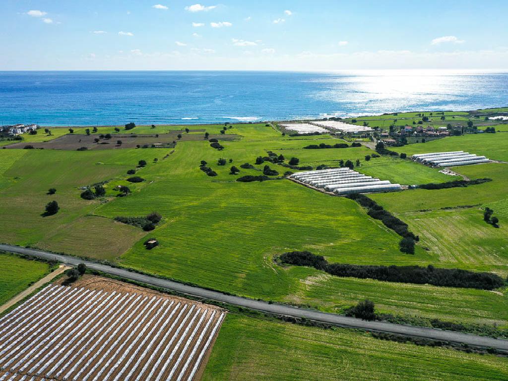 Field - Maroni, Larnaca