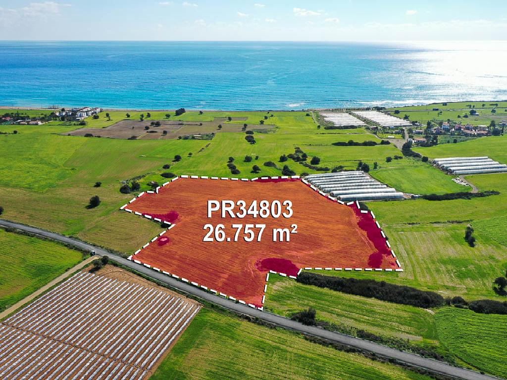 Field - Maroni, Larnaca