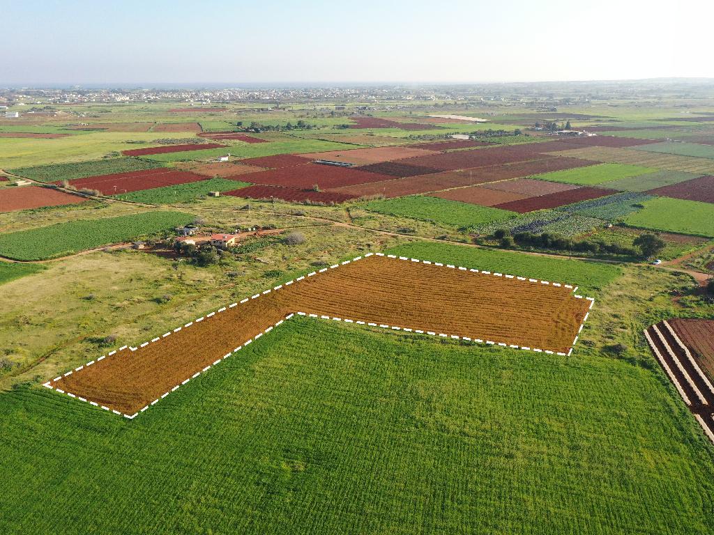 Field-Frenaros-PR34264