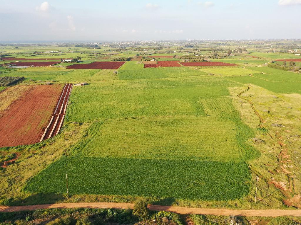 Field-Frenaros-PR34264