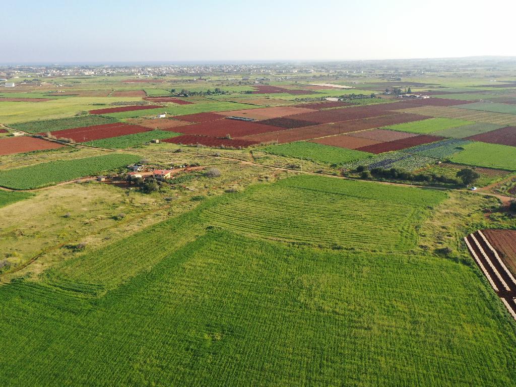 Field-Frenaros-PR34264