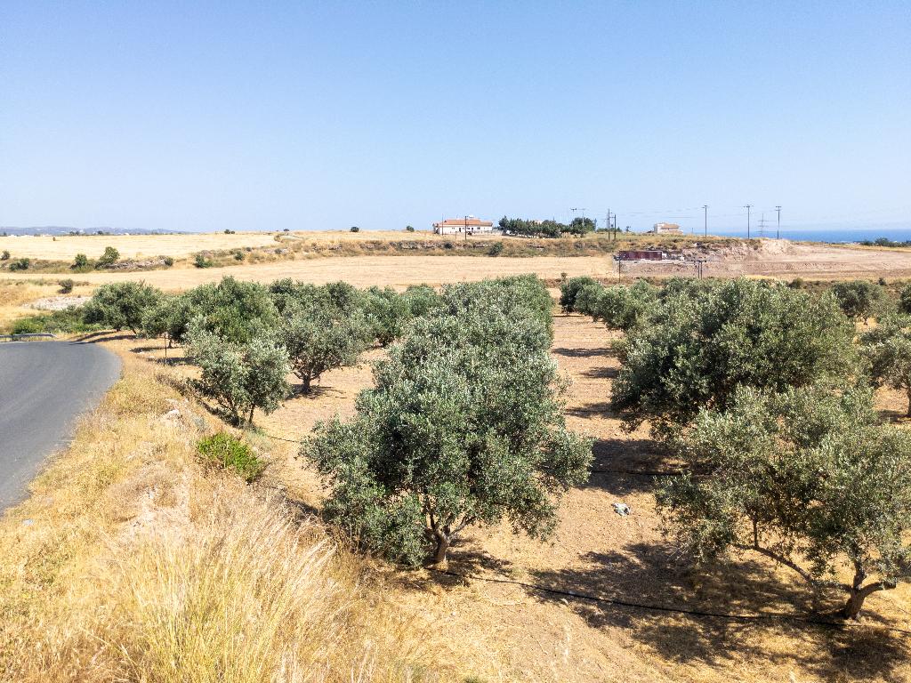 Field (Share) - Timi, Paphos