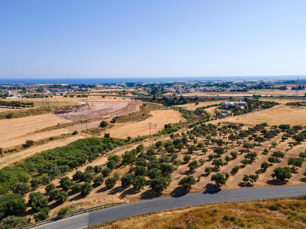 Field (Share) - Timi, Paphos