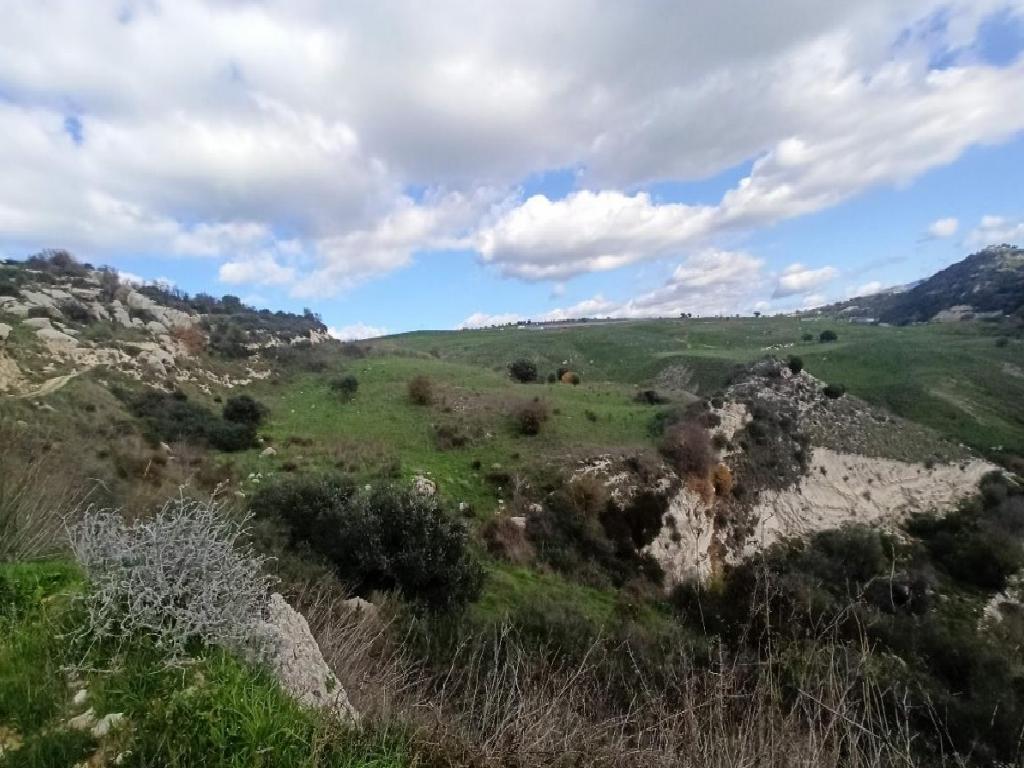 Field - Milia, Paphos