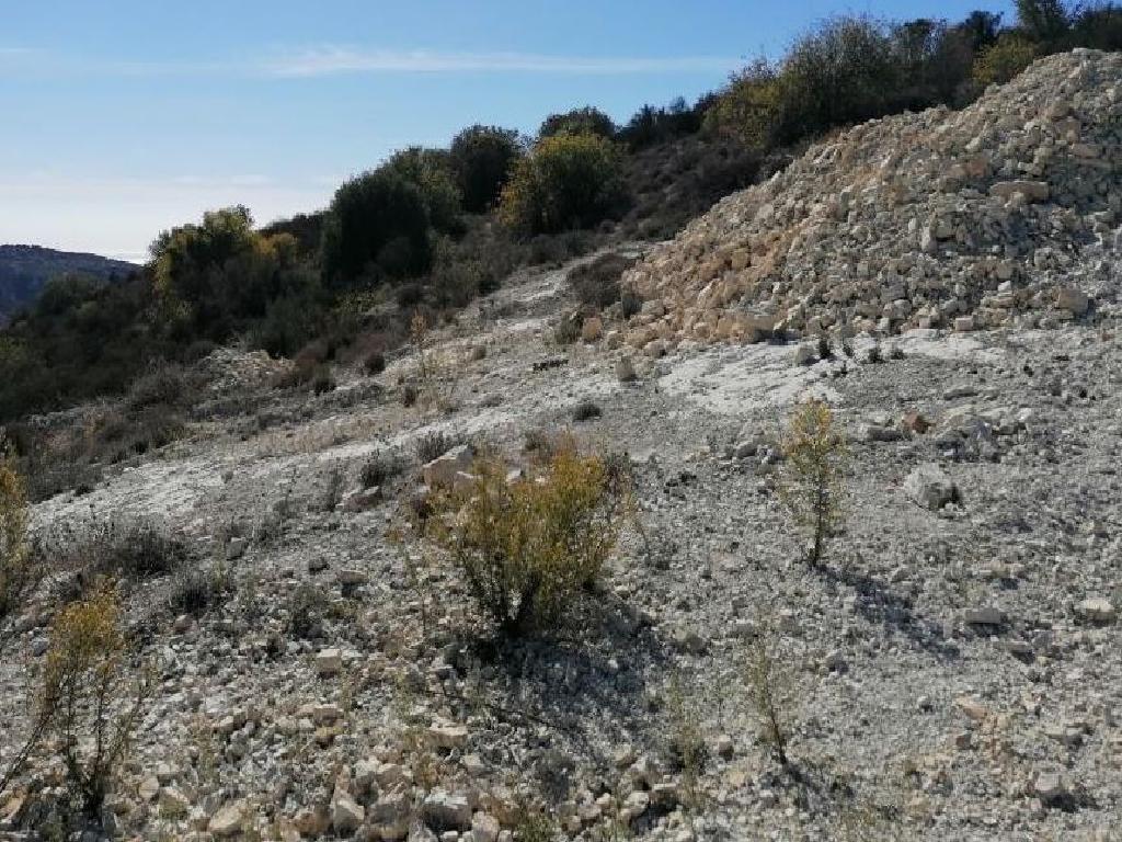 Field-Akoursos-PR37676