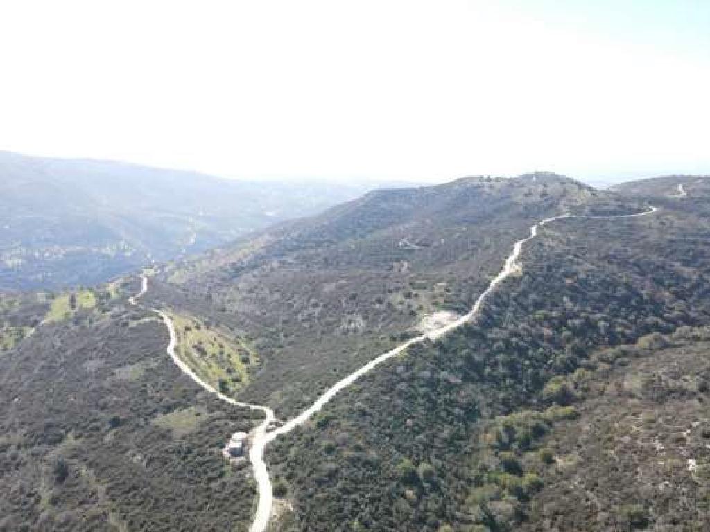 Field-Akoursos-PR37676