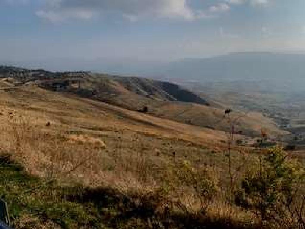 Field-Koilinia-PR40384