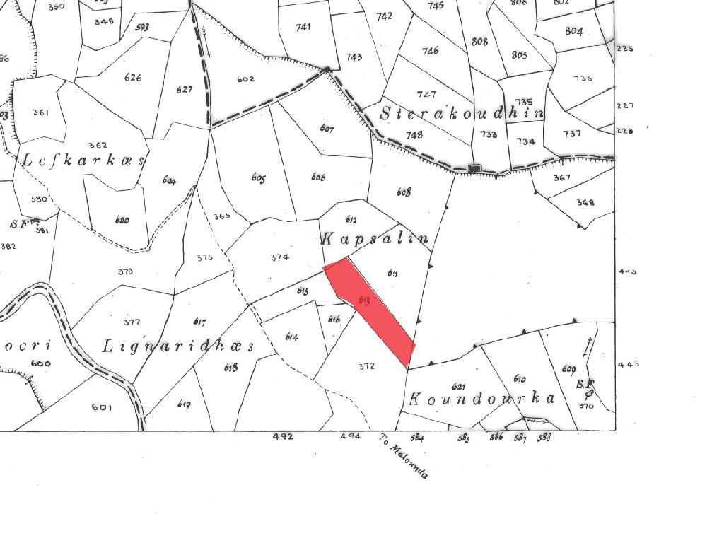 Field-Koilinia-PR40384