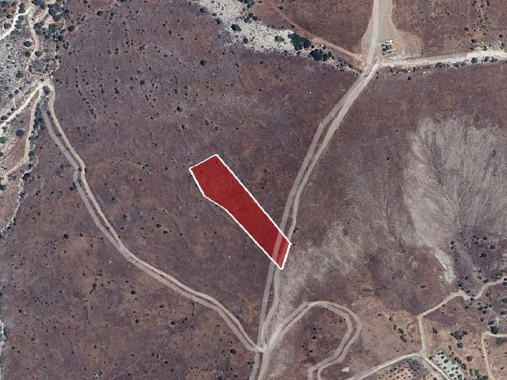 Field-Koilinia-PR40384