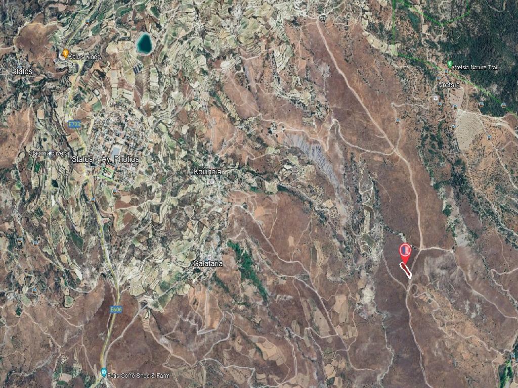 Field-Koilinia-PR40384