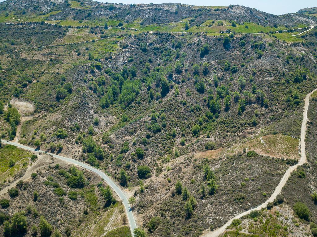 Field-Omodos-PR40945