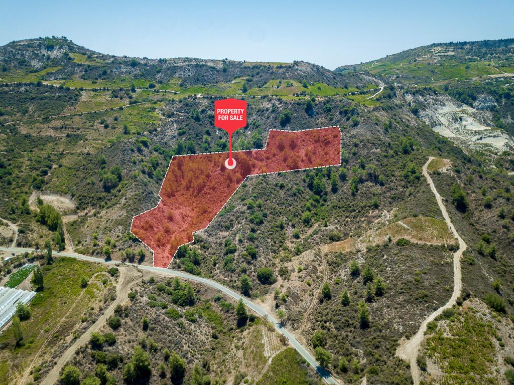Field-Omodos-PR40945