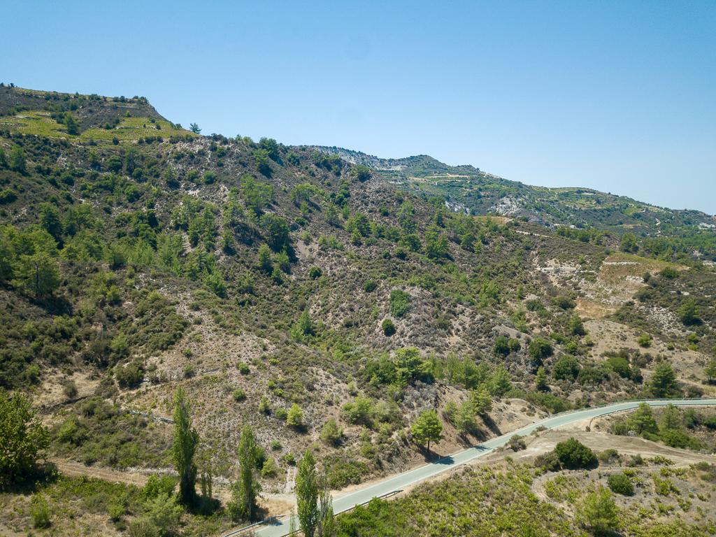 Field-Omodos-PR40945