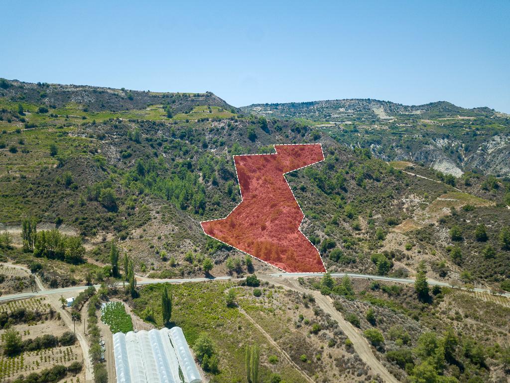 Field-Omodos-PR40945