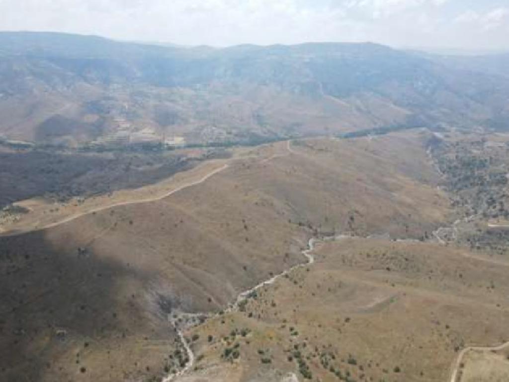 Field-Koilinia-PR41427