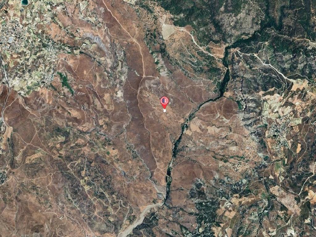 Field-Koilinia-PR41427