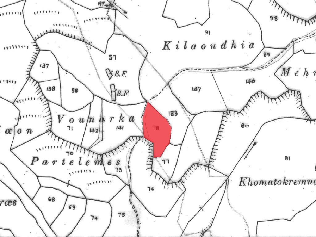 Field-Kato Akourdaleia-PR41468