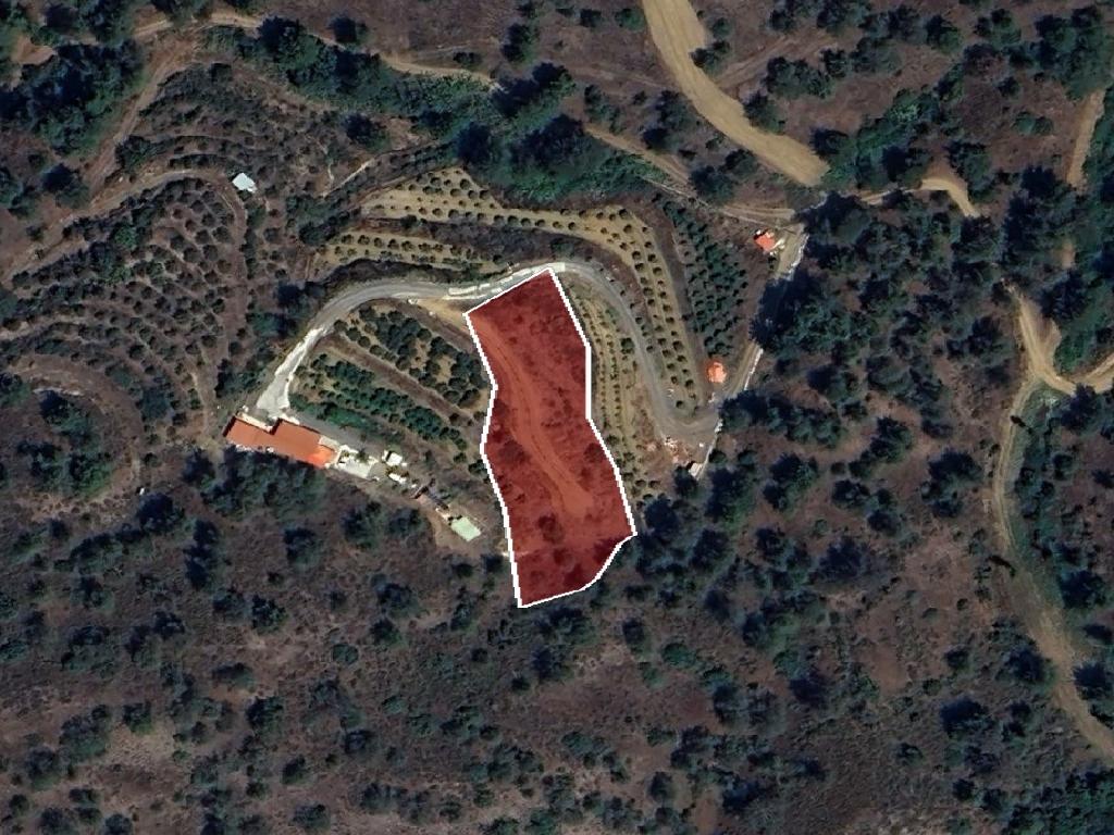 Field-Korakou-PR42097