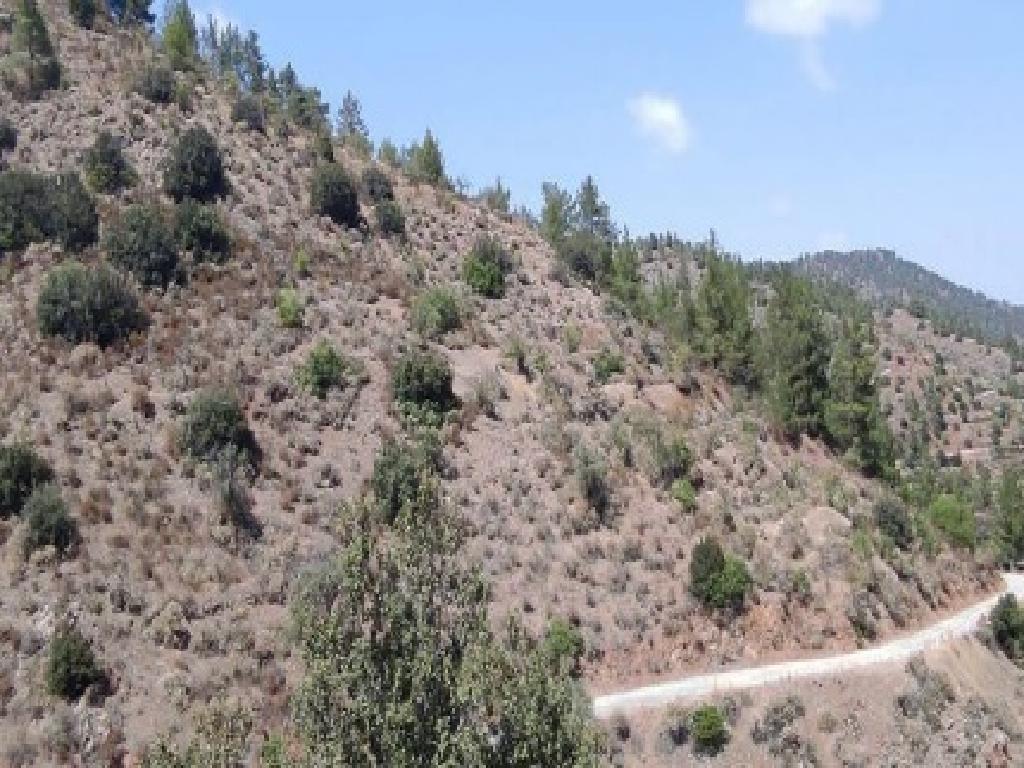 Field-Korakou-PR42097