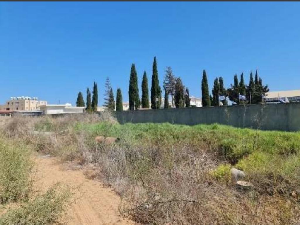 Field-Paralimni-PR42394