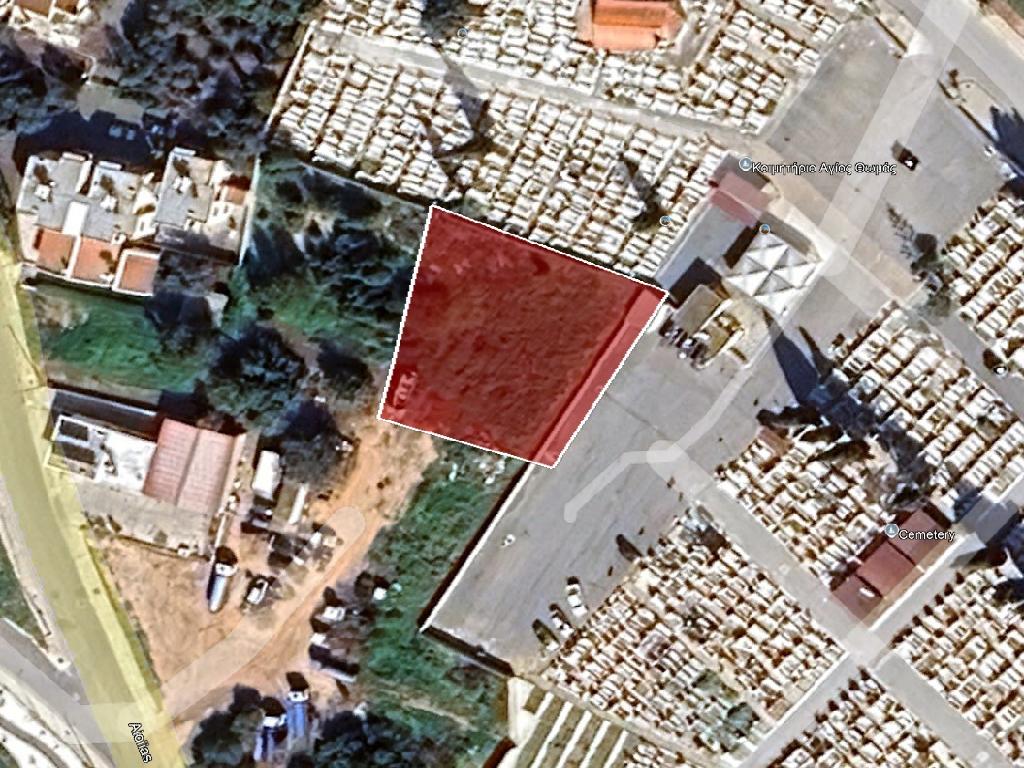 Field-Paralimni-PR42394