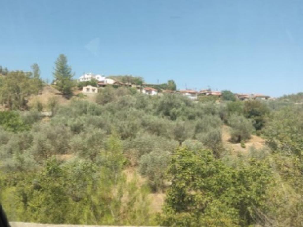 Field - Kaliana, Nicosia