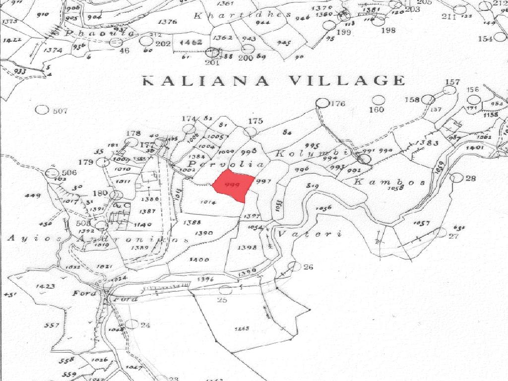 Field - Kaliana, Nicosia
