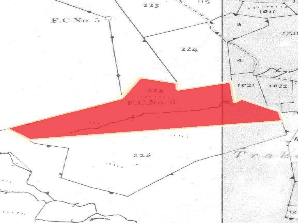 Field-Lithrodontas-PR44631