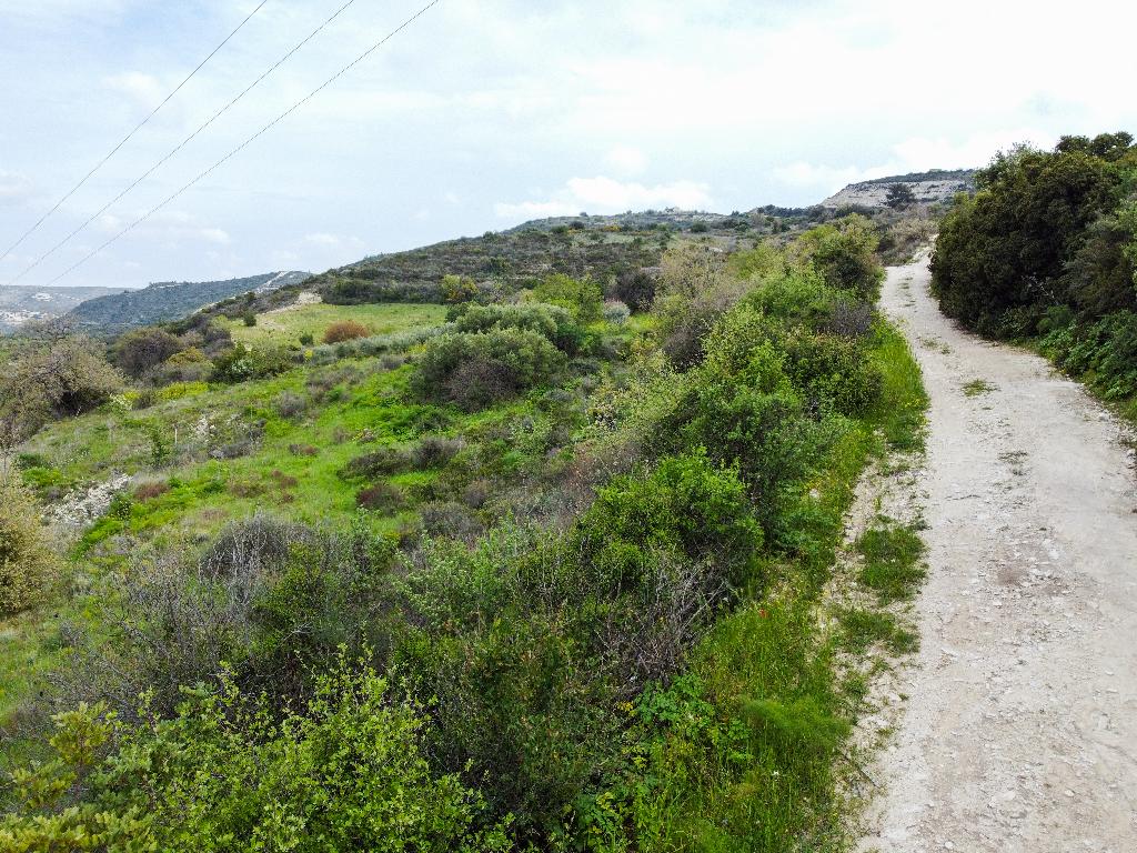 Field - Vavla, Larnaca