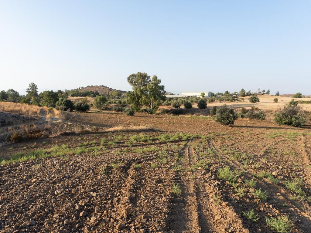 Field (Share) - Klirou, Nicosia