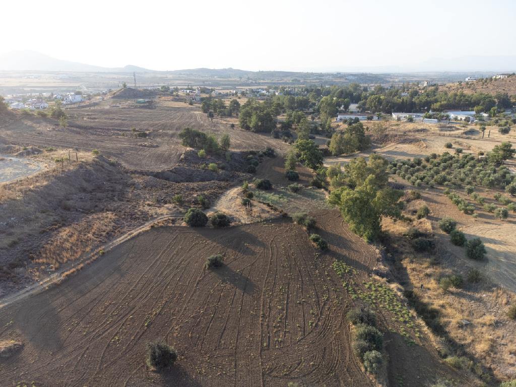 Field (Share) - Klirou, Nicosia