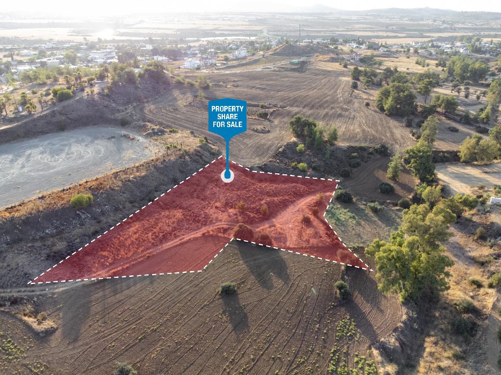 Field (Share) - Klirou, Nicosia