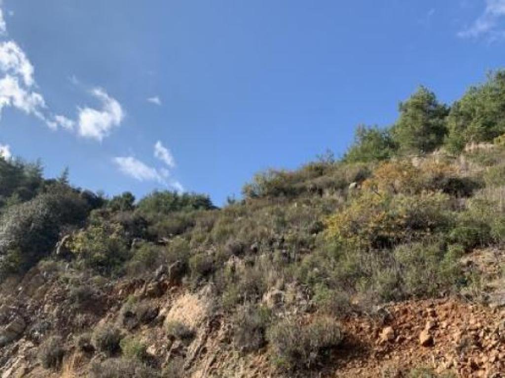 Field-Palaichori Orinis-PR15484