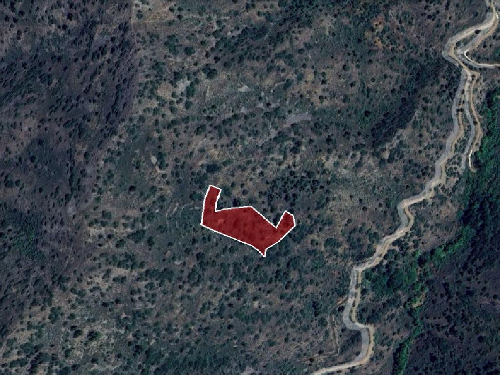 Field-Palaichori Orinis-PR15484