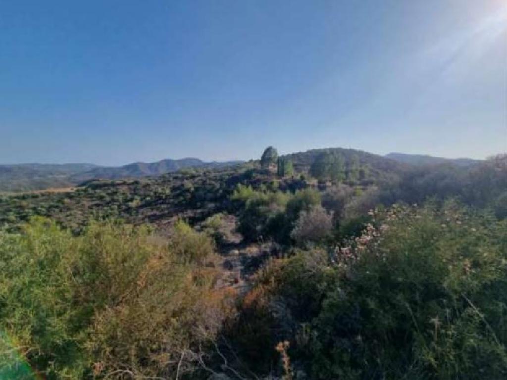 Field-Lageia-PR15260