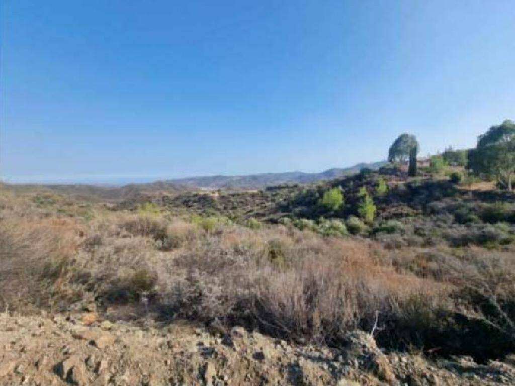 Field-Lageia-PR15260