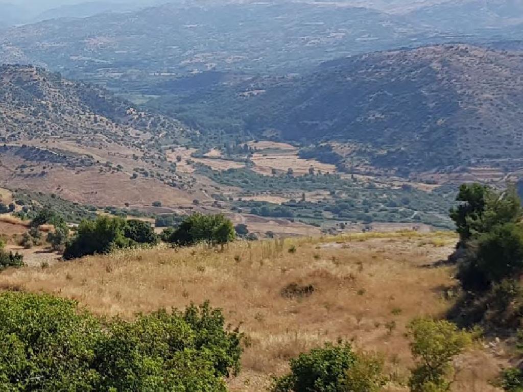 Field-Episkopi-PR32701