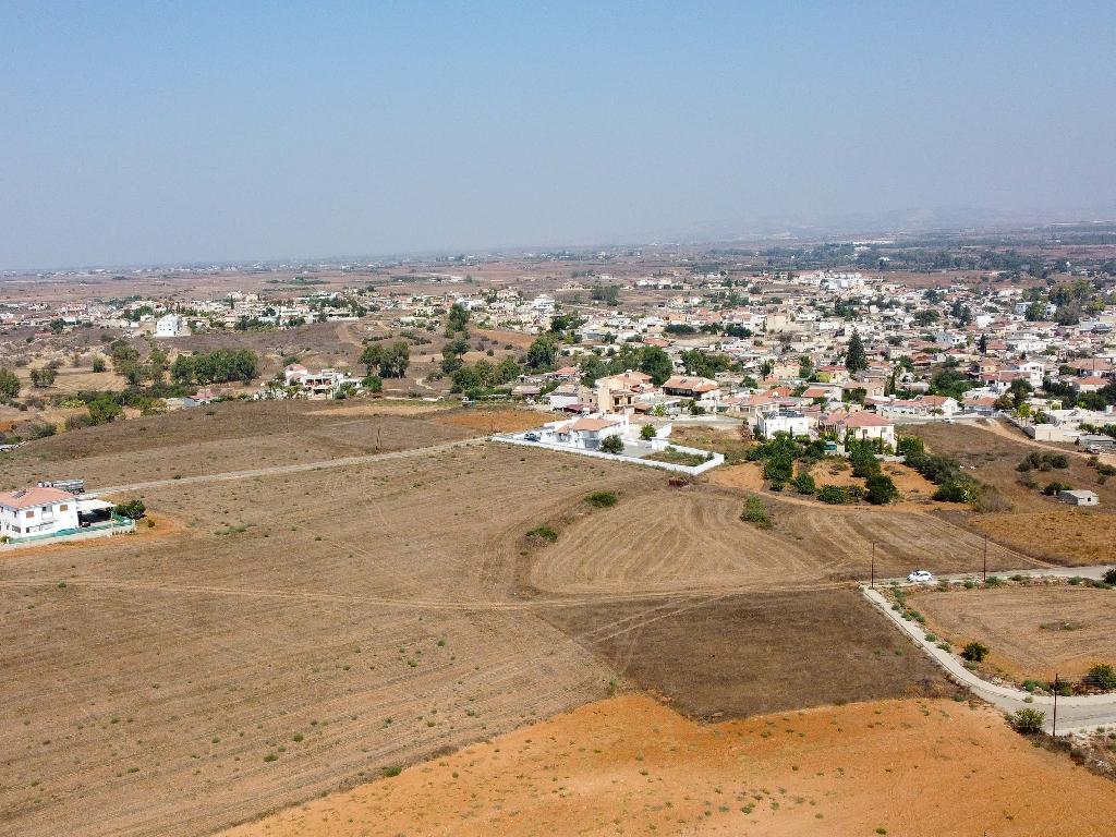 Field-Paleometocho-PR32941