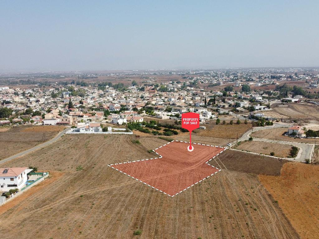 Field-Paleometocho-PR32941