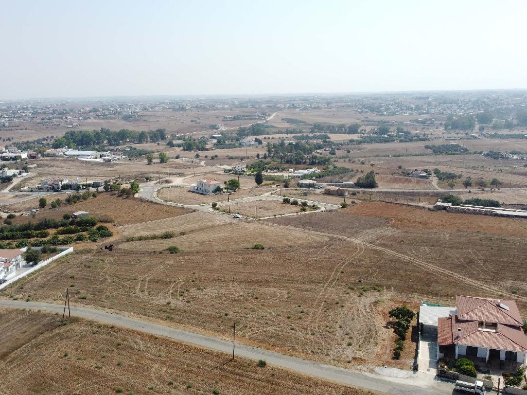 Field-Paleometocho-PR32941